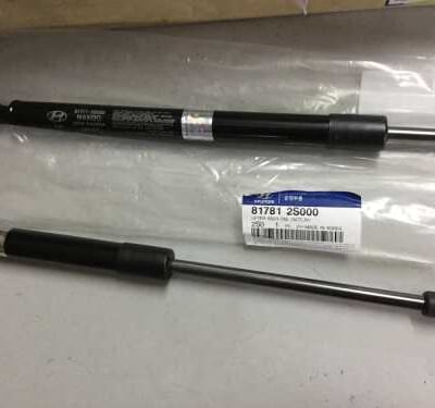 Cặp 2 ty chống cửa hậu Hyundai